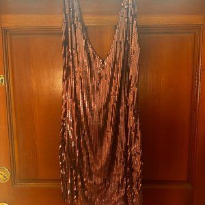 Free People Pink Sequin Slip